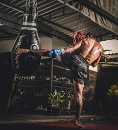 Muay Thai Self Defense System Review