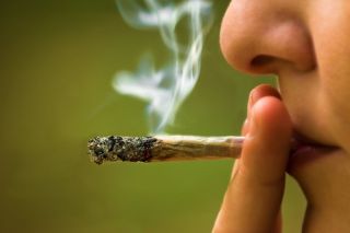 Quit Marijuana Online Course Review