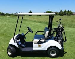 Electric Golf Cart Battery Guide Review