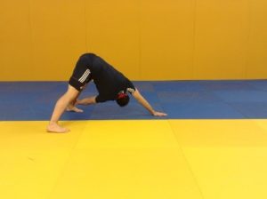Bulletproof Your Shoulders for Judo Review