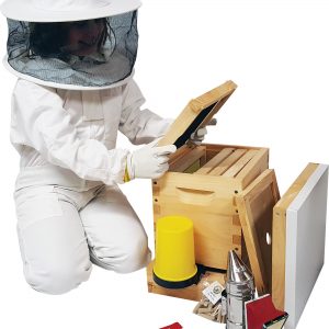 Beekeeping Equipment for Sale