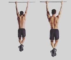The Science Behind Pull-Ups and Muscle Growth