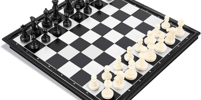 Top 10 Chess Players who Died Playing Chess
