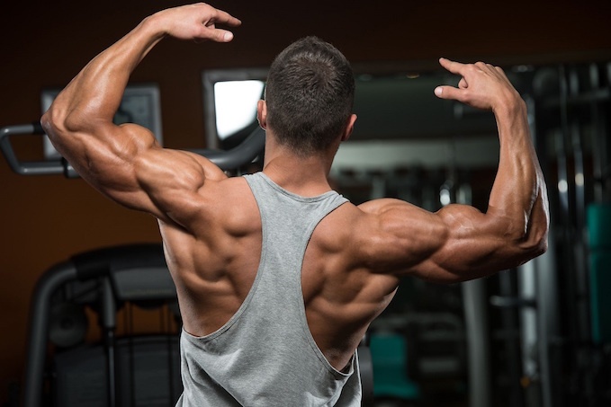 Is Muscle Hypertrophy Really the Key to Getting Lean