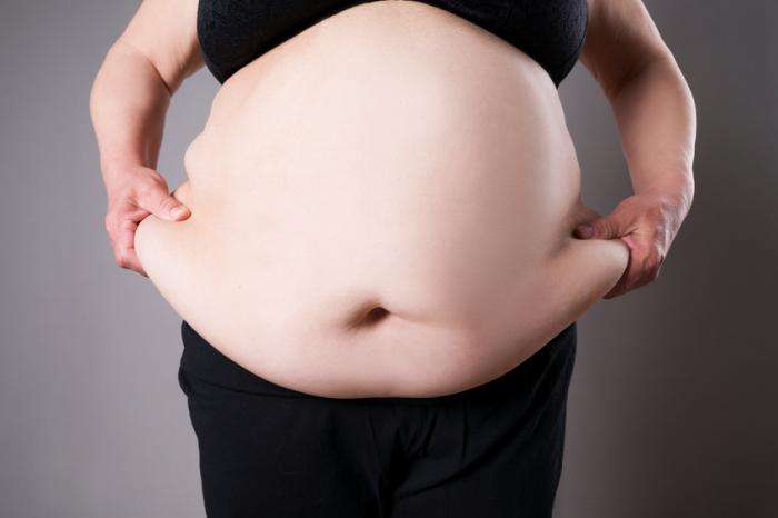 How Obesity Causes Hyperinsulinemia
