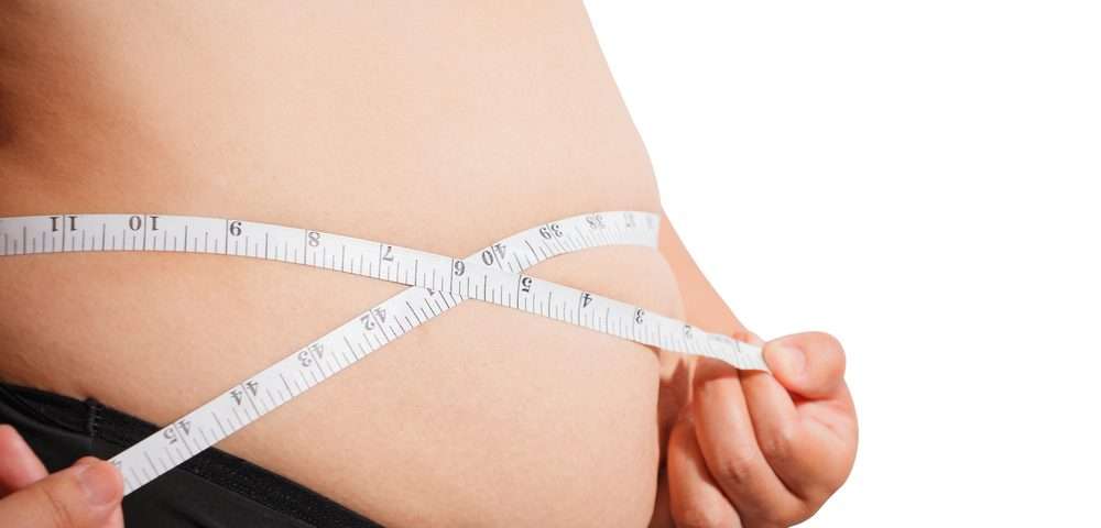 Role of Cortisol in Cushing’s Syndrome and Obesity Development