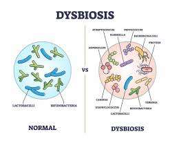 The Impact of Gut Dysbiosis on Appetite Regulation