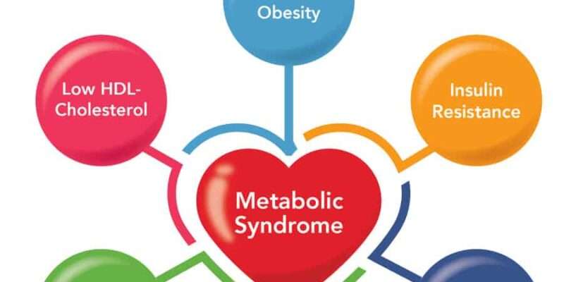 How Obesity Leads to Insulin Resistance in Metabolic Syndrome