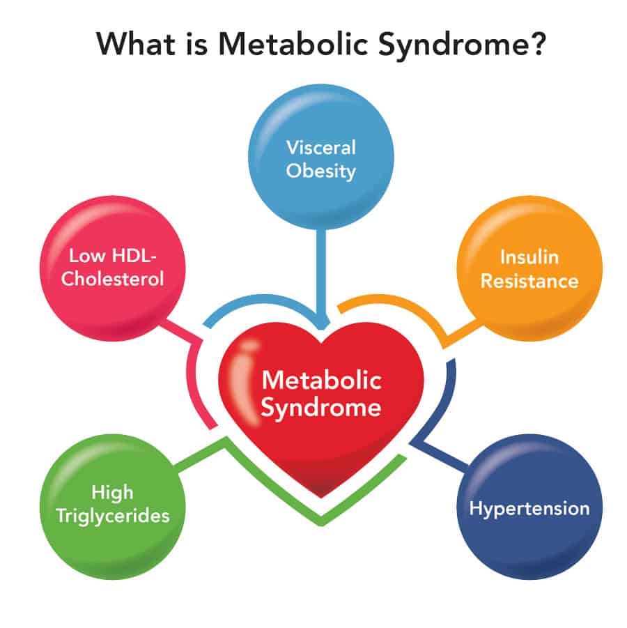 How Obesity Leads to Insulin Resistance in Metabolic Syndrome