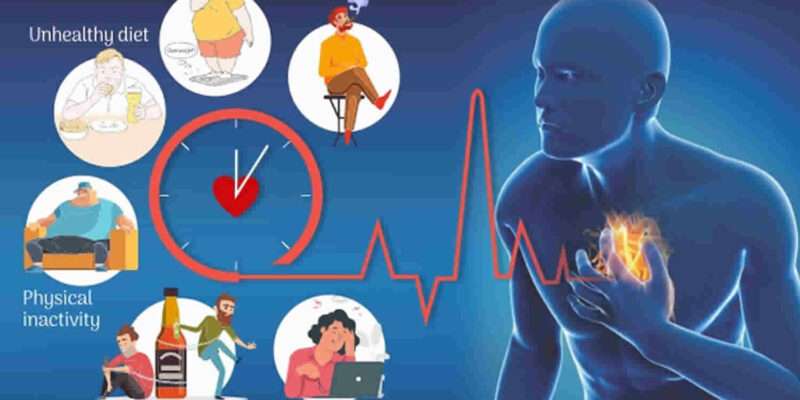 How Obesity Increases LDL Cholesterol Levels