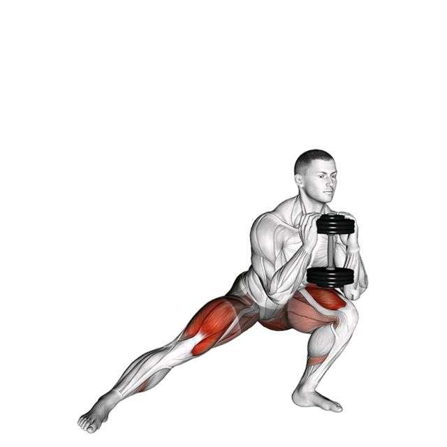 how Dumbbell Lunges work your leg muscles