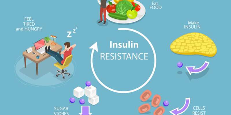 How Insulin Resistance Increases Fat Storage