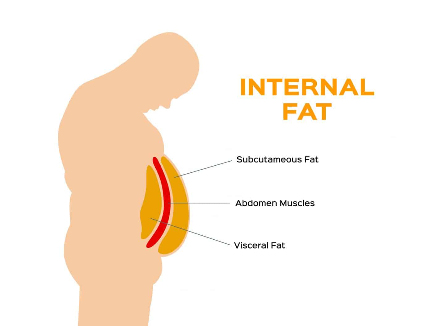 What is Abdominal Fat