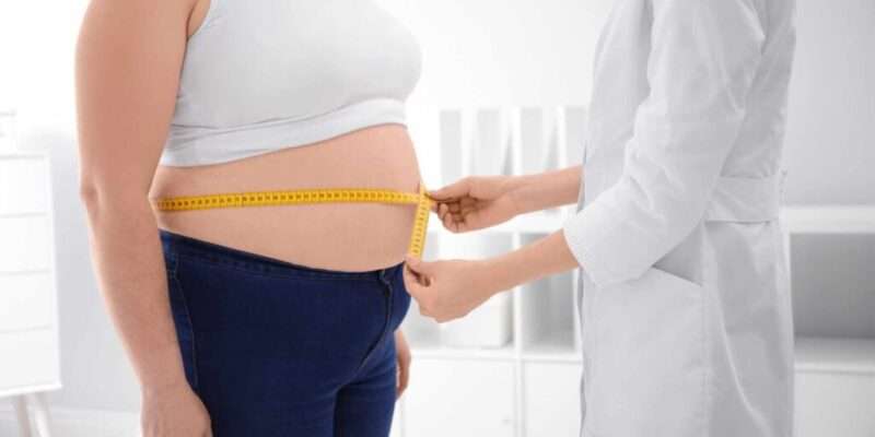 How Gut Bacteria Influence Fat Storage