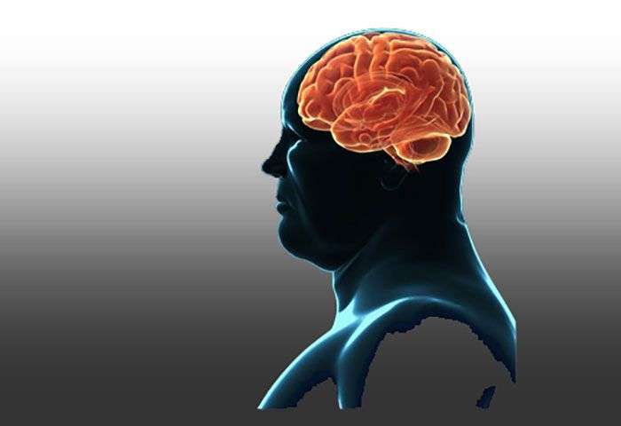 How Obesity Affects Brain Structure