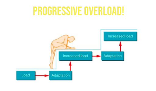 How Progressive Overload Boosts Muscle Growth