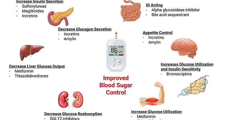 How Obesity Disrupts Glucose Metabolism