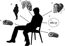 How Sedentary Behavior makes you fat