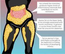 how HDL cholesterol causes you to gain weight rapidly