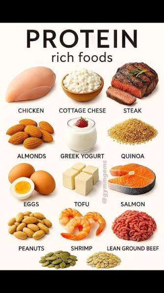8 Best Protein Sources for Healthy Weight Loss