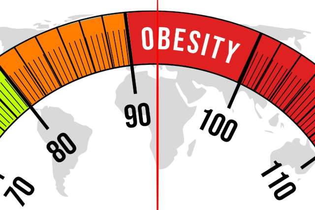 Frequently Asked Questions (FAQ) About Obesity, Weight Loss, and Metabolic Health